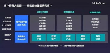 2019全球數字價值峰會 WakeData李柯辰——以數據為橋，連接品牌與客戶